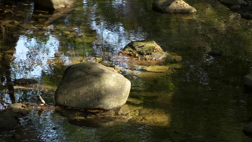 Calm mountain stream flows around smooth rocks with autumn reflections in Naejangsan National Park near Jeongeup, South Korea
