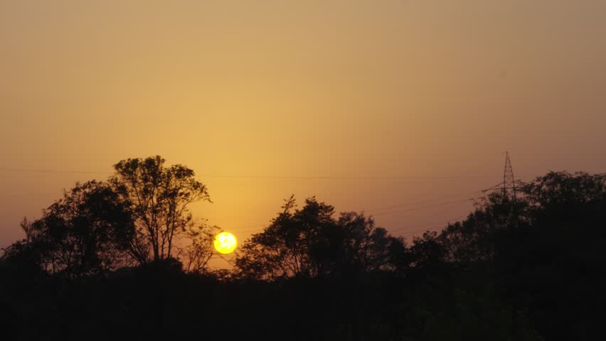 Silhoutte shot of birds flying in the beautiful village sunset