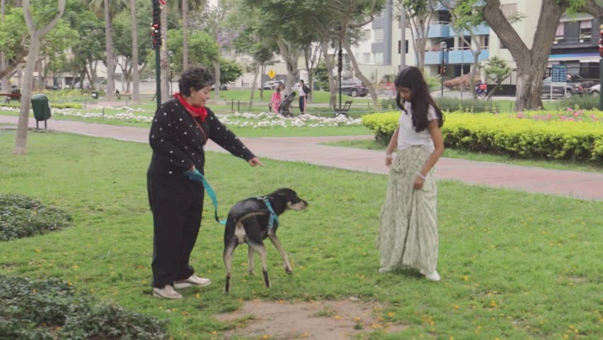 Side view of a teen girl and her mother walking a dog on a leash along a park path in daylight. Casual family moment with greenery and city setting.