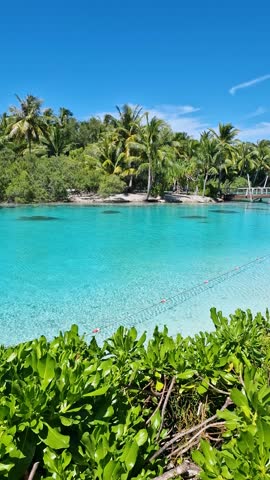 Bora Bora Island, French Polynesia. Vertical View of Luxury Resort, Bridge Over Turquoise Lagoon and Tropical Lush