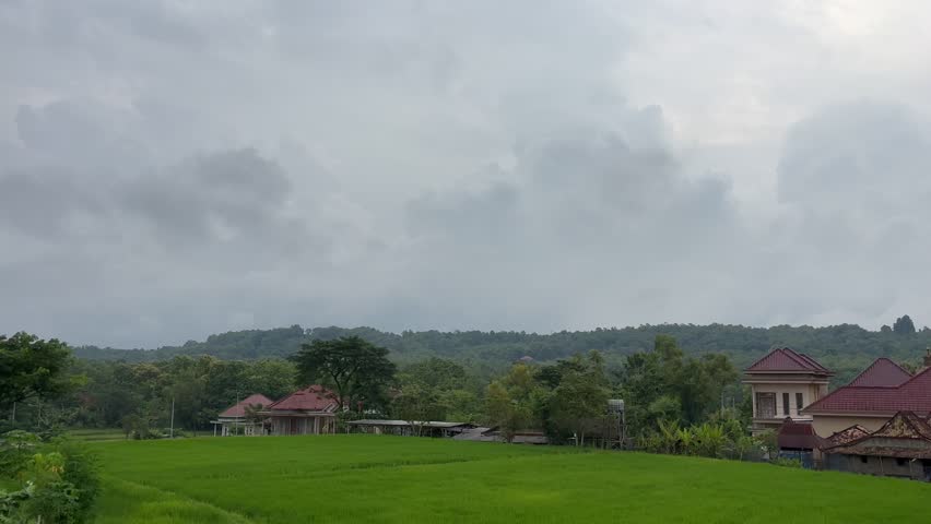 Cloudy, Cloudy Sky, Sun Covered by Clouds, Dark Sky, Dark Clouds, Green Rice Fields, Rice, Rice Plants, Countryside