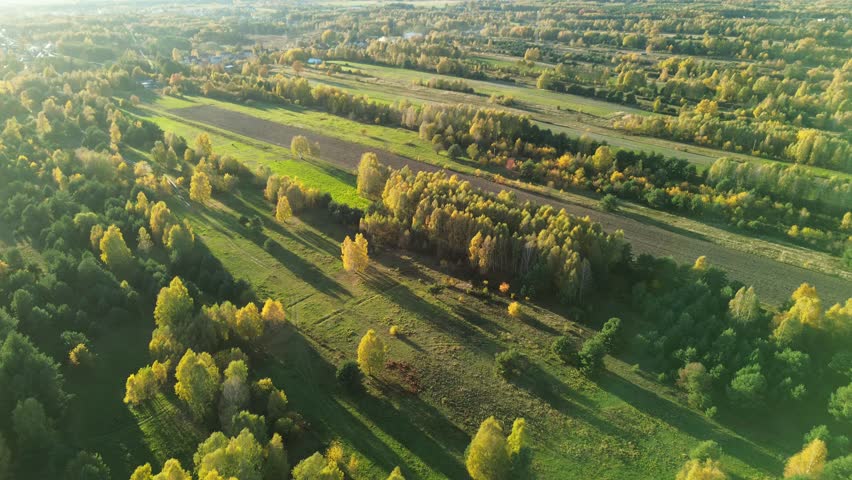 Plowed earth next to green meadow and trees