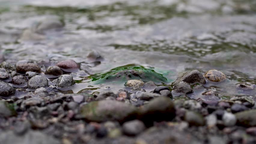 Close up of wet river rocks covered in green moss with blurred flowing stream background. Natural environment detail, fresh water texture, and riverbed concept. Shallow depth of field.