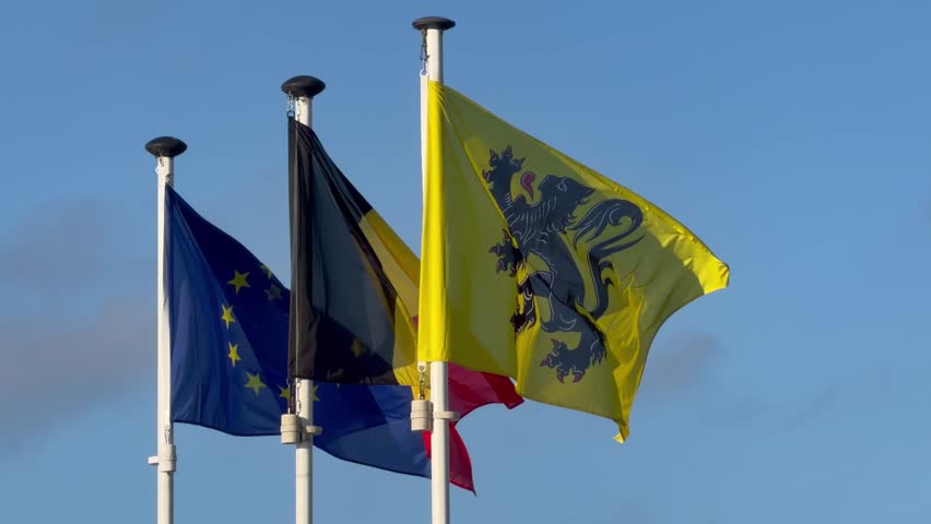 Three flags waving against a clear blue sky, including the European Union flag, the Belgian national flag, and a regional flag with a lion emblem