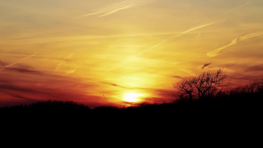 Experience the serene beauty of a vibrant sunset over a silhouette landscape. The warm orange glow of the setting sun casts a tranquil atmosphere, perfect for projects requiring a sense of peace and natural beauty.