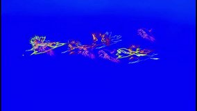 Abstract colorful light trails forming dynamic scribble shapes on solid blue background - Powered by Shutterstock - Get 15% off with code: PIKWIZARD15