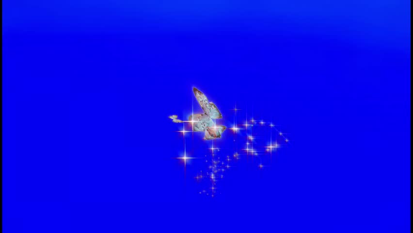  butterflies with sparkling particle trail flying gently on blue background 