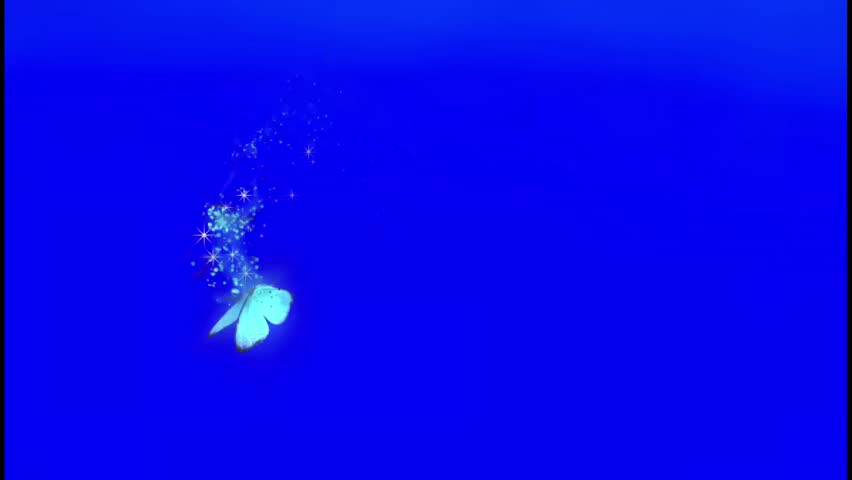 Glowing butterfly particles drifting softly through blue background 