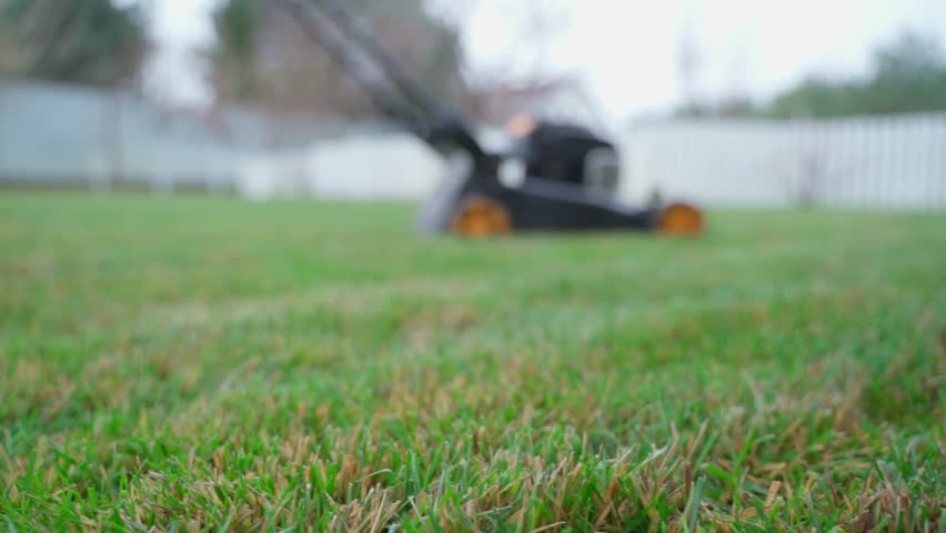 Green lawn grass on a lawn mower background on a blurred background, smooth camera movement
