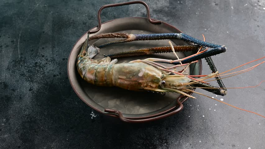Large shrimp and lobster tails on a dark plate ready for cooking in a kitchen setting near the ocean