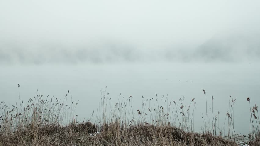 Morning fog drifting over Plivsko Jezero lake in Bosnia and Herzegovina. Calm natural landscape with mist, reeds and still water, peaceful atmosphere and quiet wilderness mood. Horizontal 4k footage