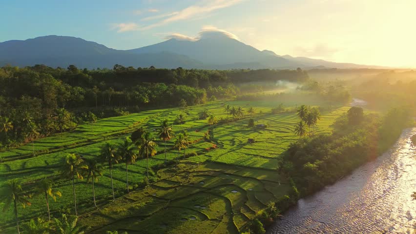 Beautiful morning view in Indonesia, panoramic landscape of rice fields with mountain ranges and clear sky