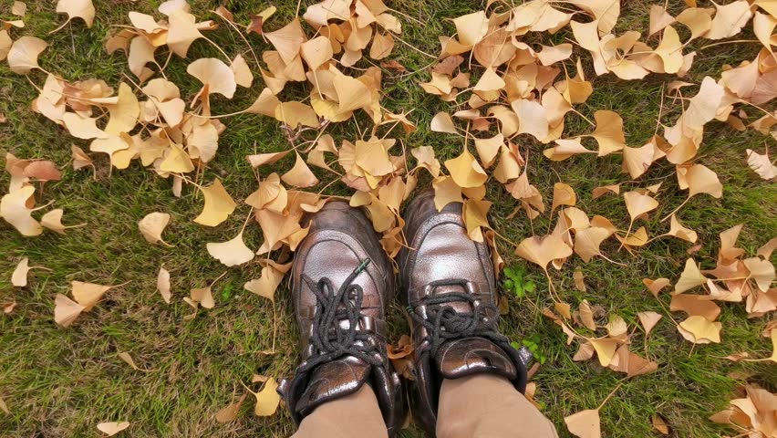 POV top view leg in sneakers under the ground covering yellow ginko leaves.Shotting a pair of sneakers from up to down after walking in autumn.