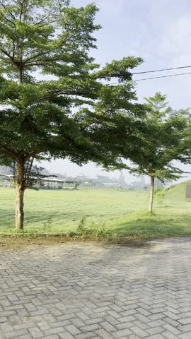 Some green trees along the pathway for jogging track in the countryside 