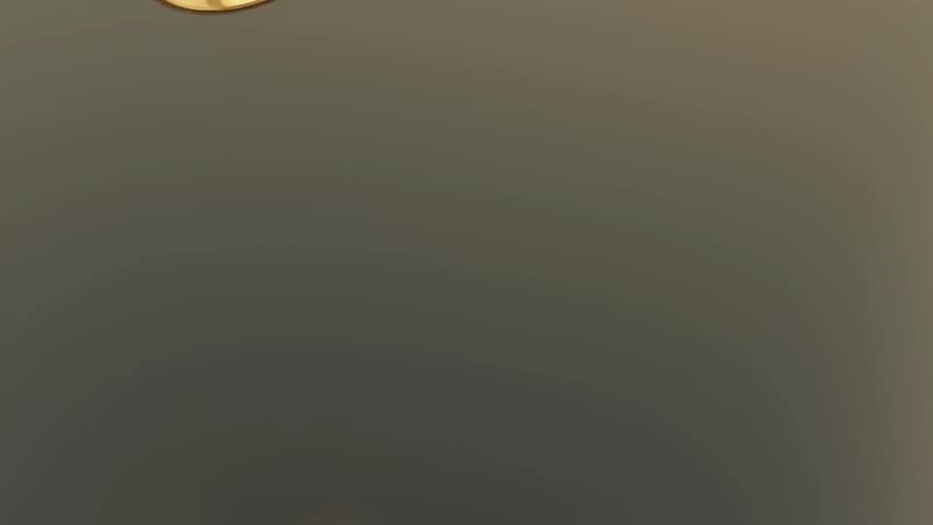 Elegant 3D Animation of Two Gold Wedding Rings Joining on Reflective Surface