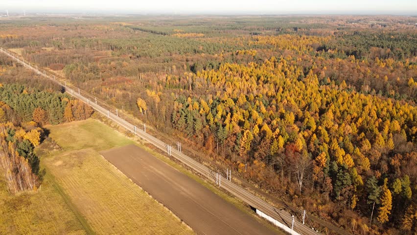 Railroad corridor surrounded by orange and green trees