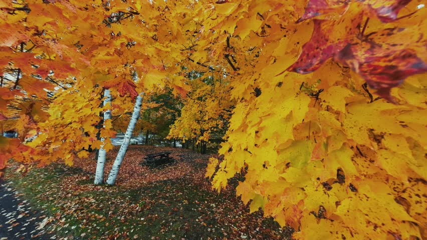 Adirondack Mountain, New York State. Aerial view of autumnal park scene with trees and fallen leaves.