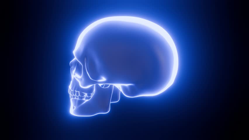 Rotating human skull on black background, glowing skull icon in blue neon color, seamless computer graphic 4K video animation.