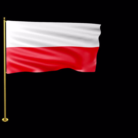 Poland Waving Fag Transparent Alpha Loop