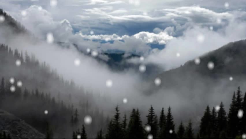 "A dramatic and moody mountain landscape with dark pine forests partially hidden by thick, rolling white fog and heavy clouds, all overlaid with soft, ethereal bokeh light particles."
