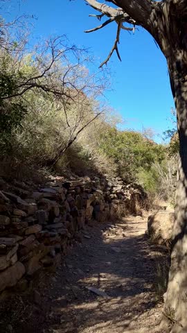 Arid Trail with Dry Mountain Slopes in the Distance (Big Bend National Park, Texas, USA)
