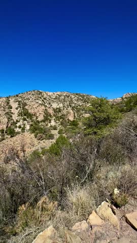 Green Dramatic Slope of Mountain in the Chisos (Big Bend National Park, Texas, USA)