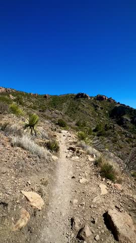 Ascending a Sandy Incline on a Ridge in the Chisos Mountains (Big Bend National Park, Texas, USA) 