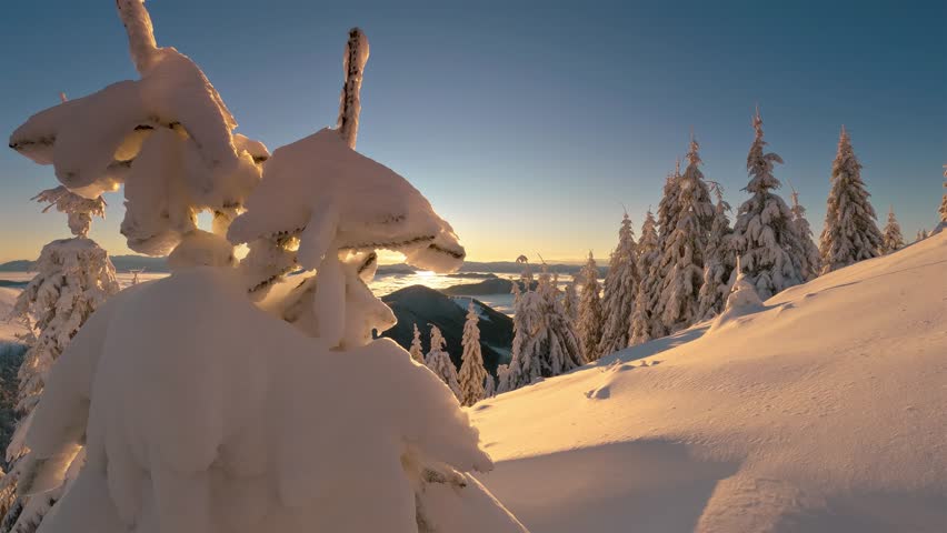 Golden Light of Sun at Winter Sunrise in Frozen Forest Mountains with Snowy Trees