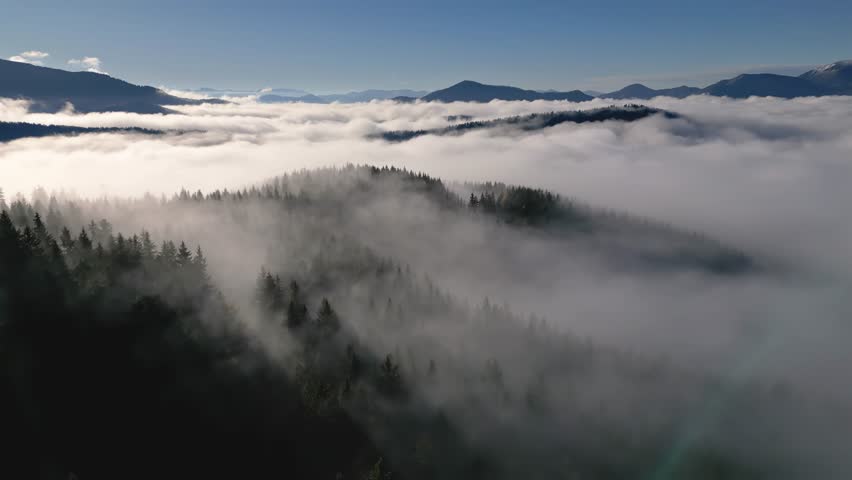 Aerial View of Foggy Forest Landscape in Misty Autumn Nature