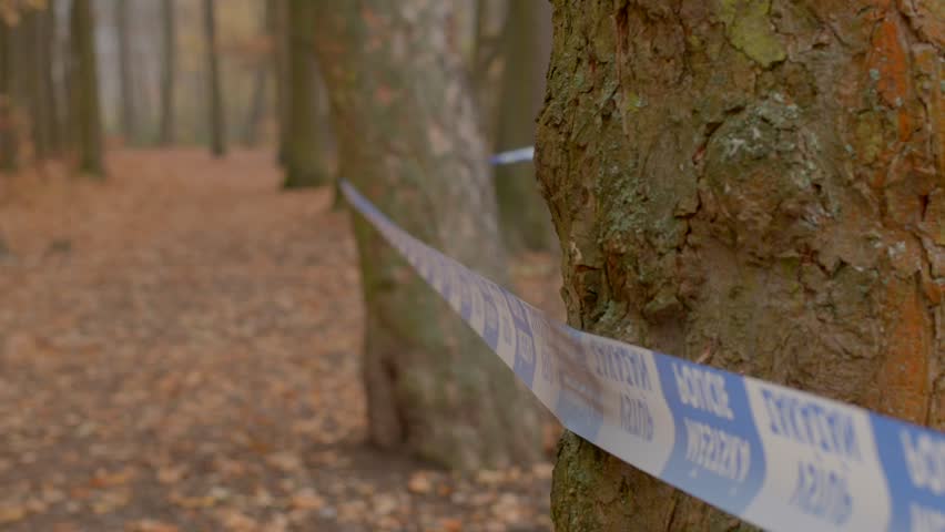police tape wrapped around tree in quiet autumn woodland, cordoned path and scattered leaves create tense, eerie atmosphere as investigators secure scene, mossy bark and damp forest floor visible,