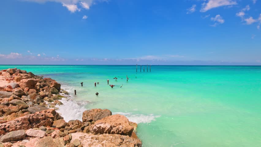 Beautiful view of Caribbean Sea with pelicans resting on old pier posts in turquoise water on seaside background. Aruba.