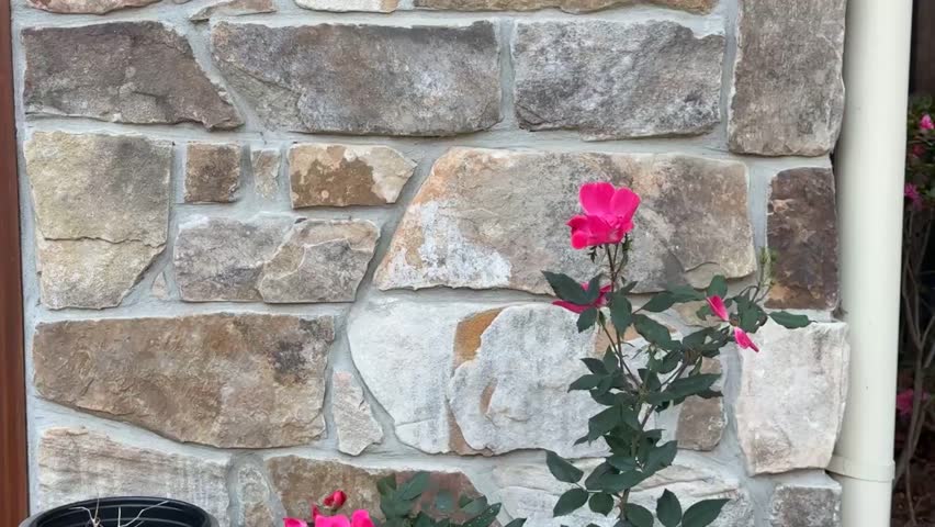 Natural outside flowers with brick background