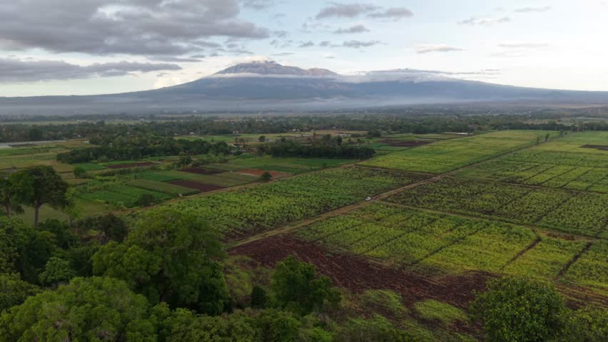 Beautiful scenery of cloudy mountain with forest and plantation areas as the foreground. Taken with drone. 