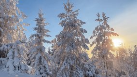 Sunrise Over Winter Mountains and Snowy Trees - Powered by Shutterstock - Get 15% off with code: PIKWIZARD15