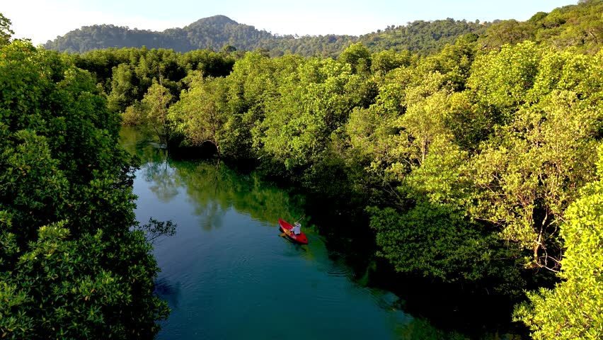 Explore the pristine beauty of Koh Phayam as a kayak glides through vibrant green mangroves, reflecting the clear blue sky and calm waters. Natures tranquility abounds of Thailand.