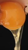 Black background with cracked raw egg as yellow yolk and clear white drip downward in natural cooking preparation - Powered by Shutterstock - Get 15% off with code: PIKWIZARD15