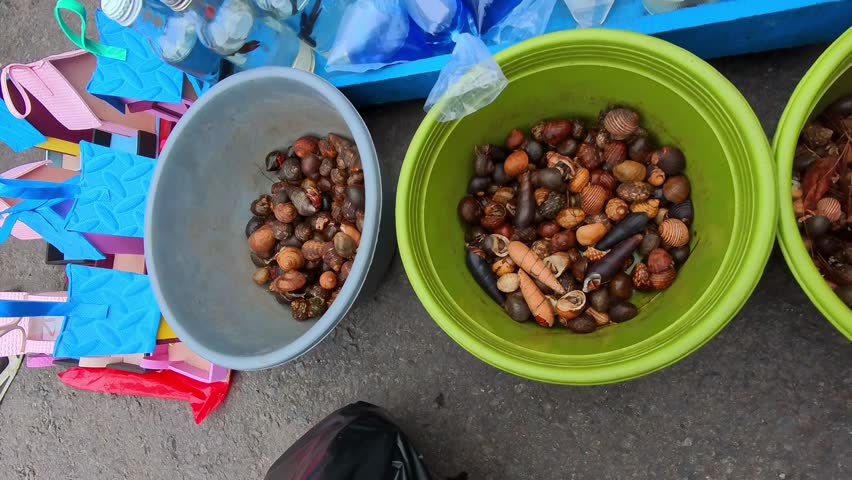 A hermit crab group is gathered in a bucket for sale. Footage of the small crustaceans attracts children to keep them as pets. Videography of the animals for sale in 4K HD resolution.