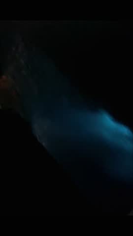 Bioluminescent Plankton Glowing in Ocean at Night
Glowing bioluminescent plankton illuminating ocean water at night with bright blue light. Magical natural phenomenon caused by marine microorganisms, creating a dreamy and cinematic seascape. Perfect for nature documentaries, science content, fantasy visuals, ocean backgrounds, and vertical mobile videos. No people.