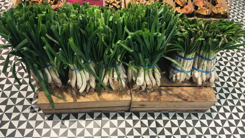 Callus or calcot, a type of green onion popular in Catalonia, is sold on the counter in a store. High quality 4k footage