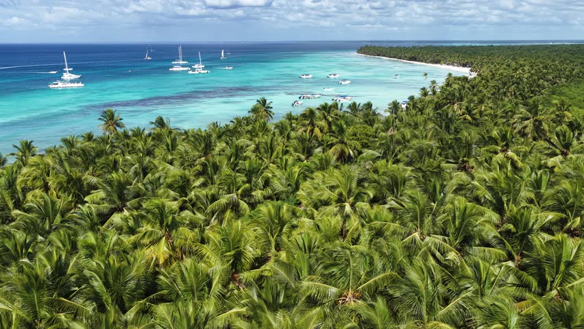 Saona Island In Punta Cana La Altagracia Dominican Republic. Breathtaking Aerial View Of A Lush Tropical Coastline Scenery. Shore Clouds Beach Sea. Outdoors Beach Travel. Punta Cana La Altagracia.