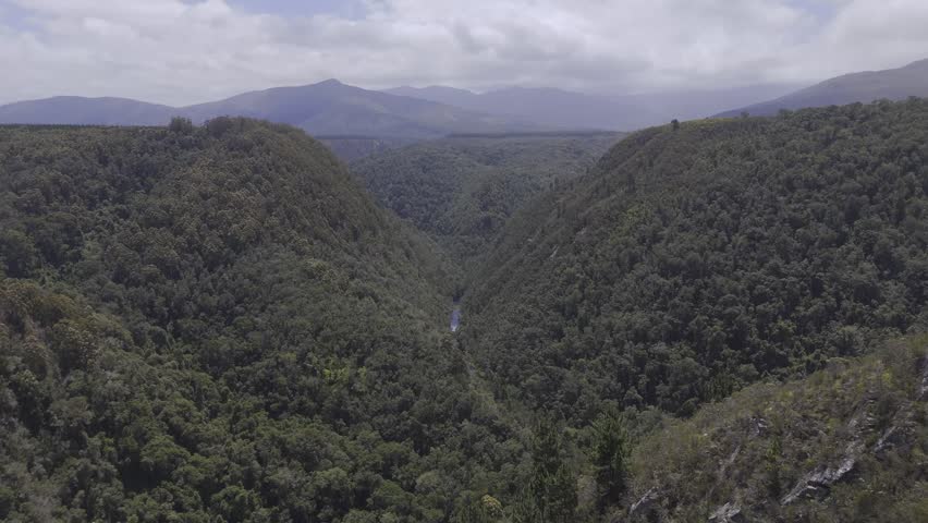 view of the valley behing the Bloukrans bridge, south african Gardenr oute 