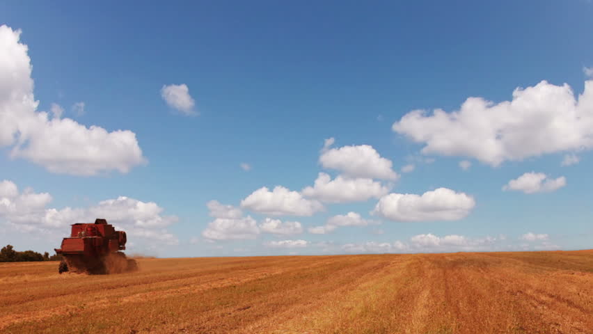 Harvester working in the field. Blue sky. The clouds are flying fast (timelapse)