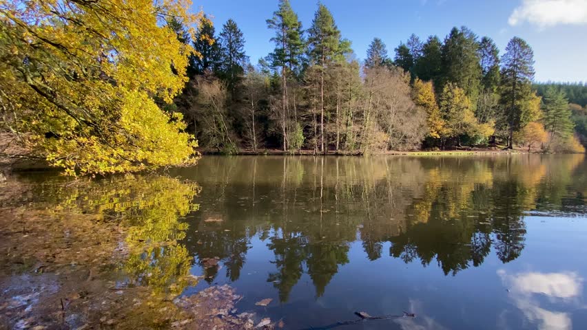 View across lake to forest reflecting in tranquil waters