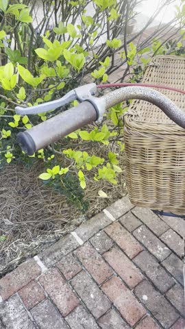 Vintage Bicycle Parked on Brick Driveway in Lush Green Backyard Creating Nostalgic Summer Garden Mood
