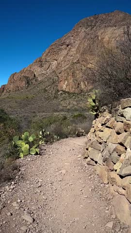 Hiking Through A Winding Trail in the Chisos Mountains (Big Bend National Park, Texas, USA)