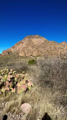 Sunny Day on A Beautiful Trail in the American Southwest (Big Bend National Park, Texas, USA)