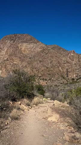Hiking on a Sunny Desert Trail with Towering Mountains (Big Bend National Park, Texas, USA)