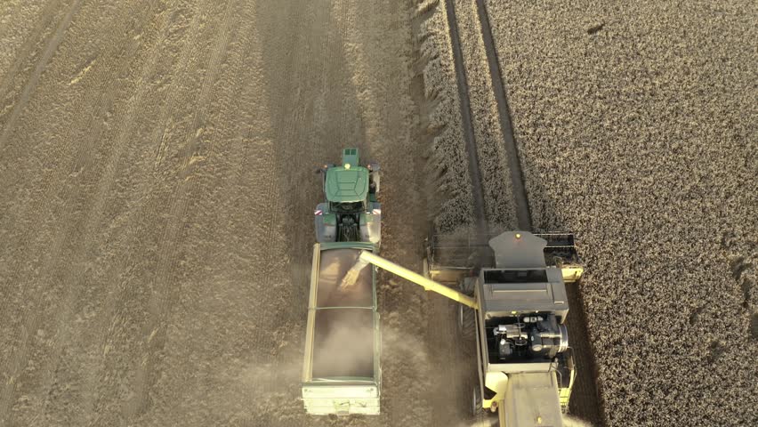 Farming Tractor in the Fields agriculture