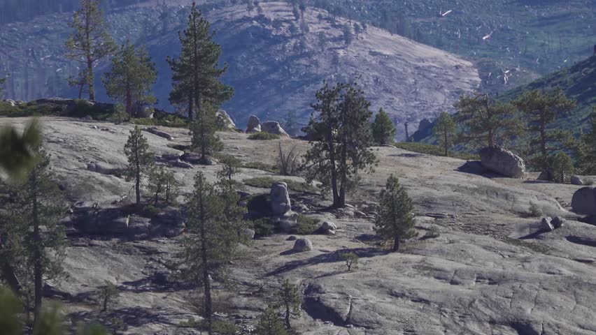 Large boulders and pine trees rest across the high alpine terrain of Yosemite, creating a rugged mountain landscape.