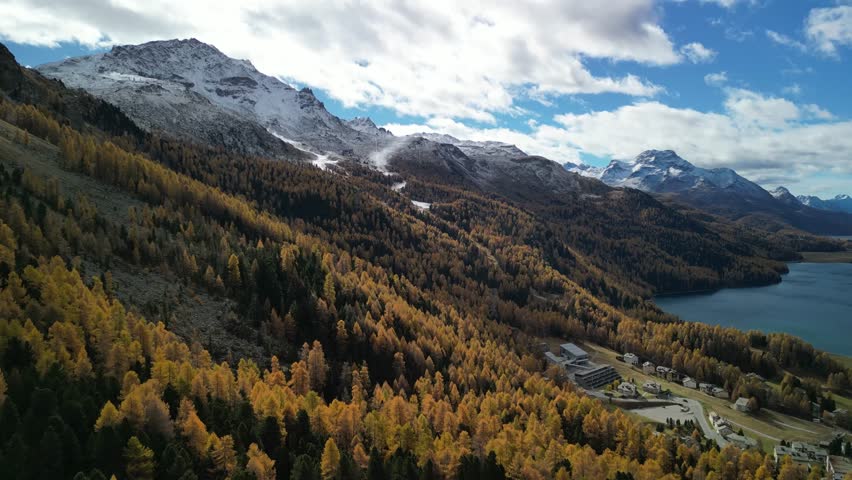 dense vibrant golden orange forest covering Engadin Valley slopes, Switzerland